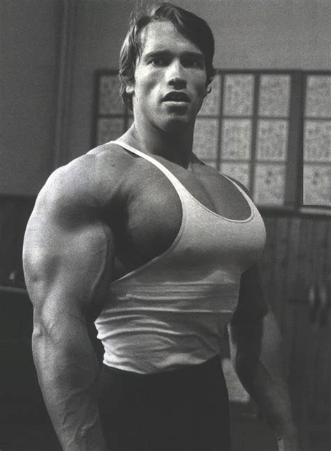 arnold bodybuilding photos|arnold schwarzenegger video.